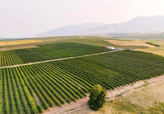 Paradise Valley Farms