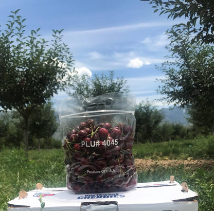 Red Sweet Cherries