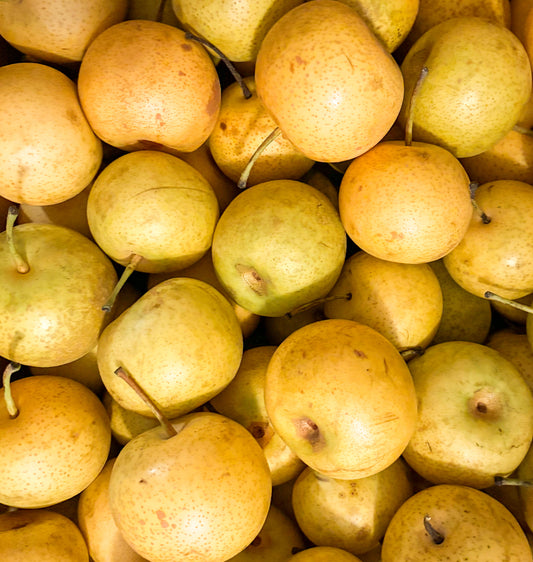 Asian Pears
