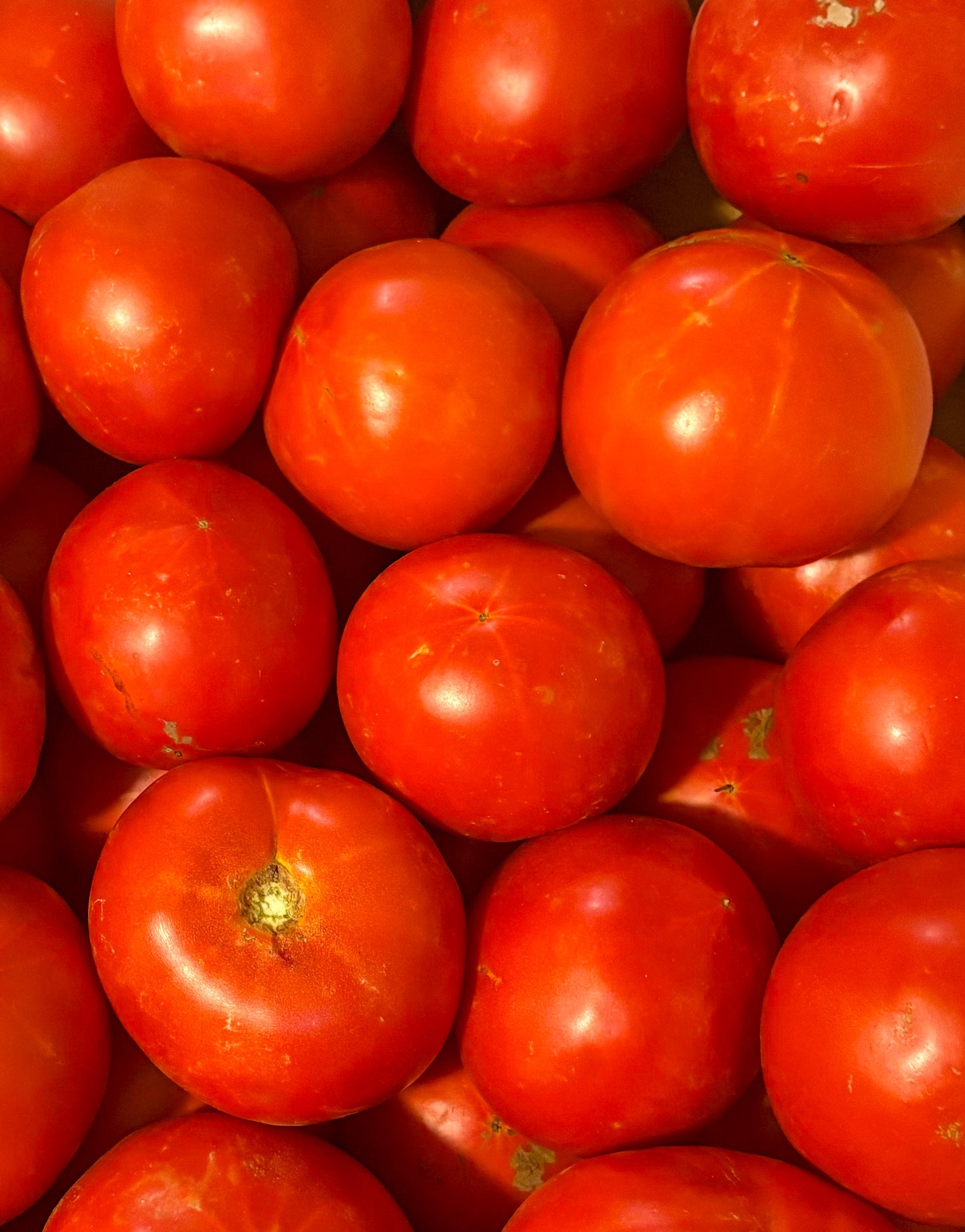 Beefsteak Tomatoes