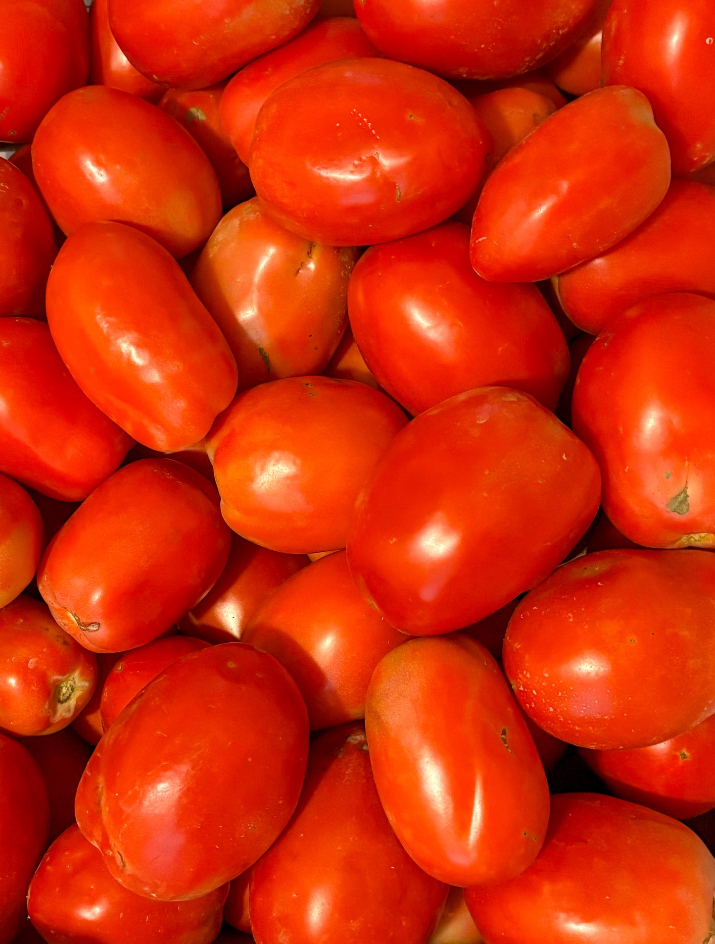 Roma Tomatoes