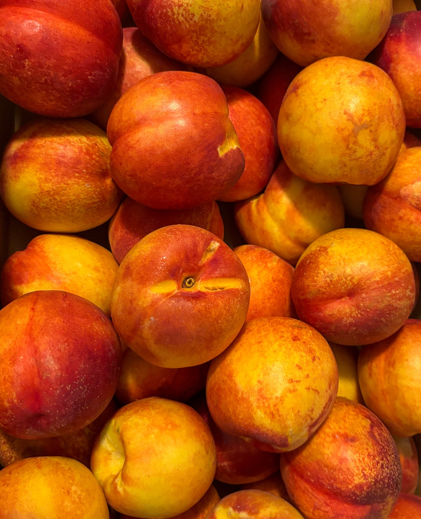 Nectarines