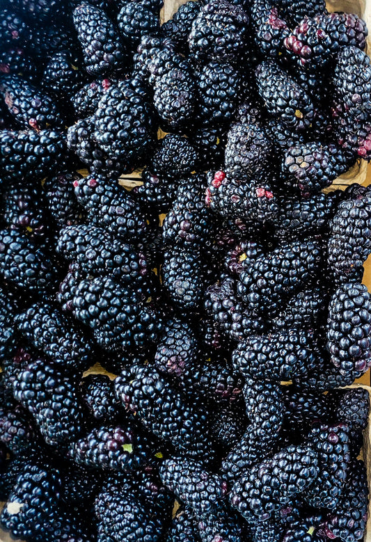 Blackberries - Flat