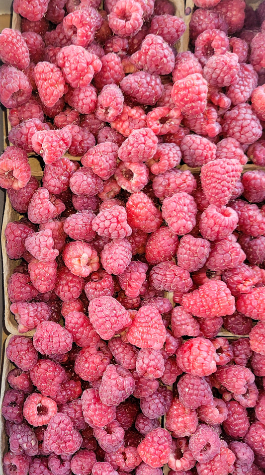 Raspberries - Flat